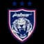 Johor Darul Ta'zim FC - Afc Champions League Elite 33950 Football Result